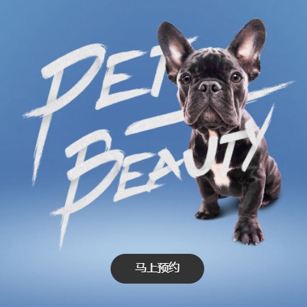 前郭宠物中心小程序开发